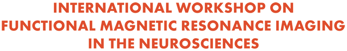 International Workshop on Functional Magnetic Resonance Imaging in the Neurosciences